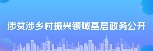 涉贫涉乡村振兴